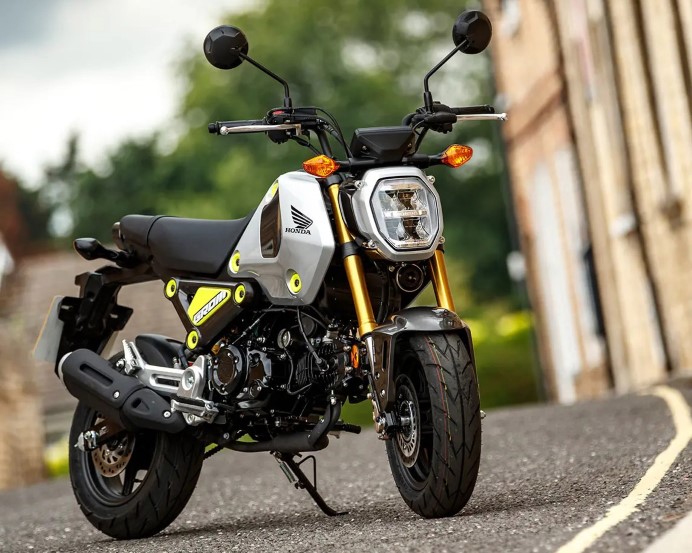 Honda MSX125 Insurance
